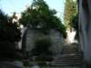 Photo Number 9