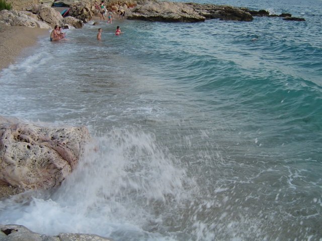 Photograph
